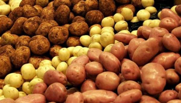 В Украине обвалились цены на популярный овощ