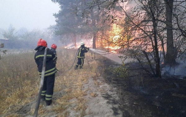 Аваков заявил, что причиной пожаров на Луганщине могли стать поджоги