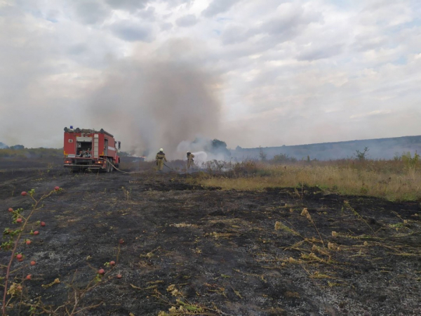 Масштабные пожары в Луганской области: полиция сообщает об 11 погибших