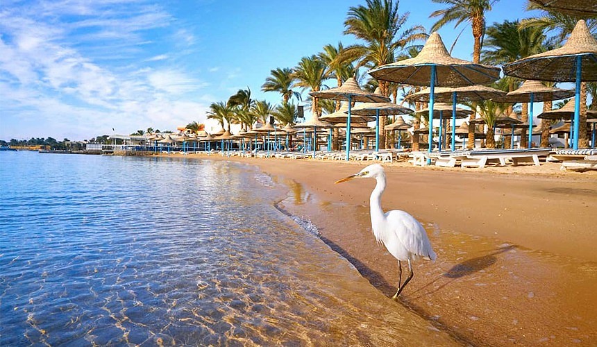 Курорты Египта все доступнее, ограничений все меньше