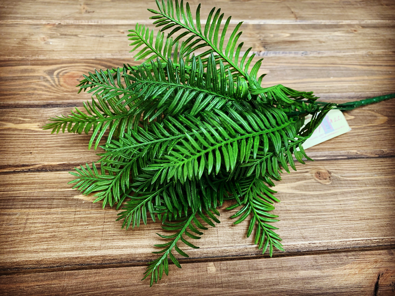 декоративная зелень