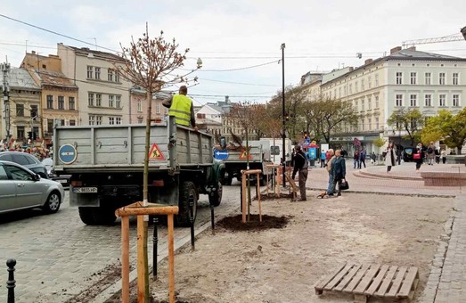 У Львові висаджують дерева, подаровані благодійниками