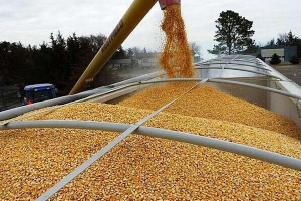 ООН: вывоз украинского зерна может растянуться на месяцы