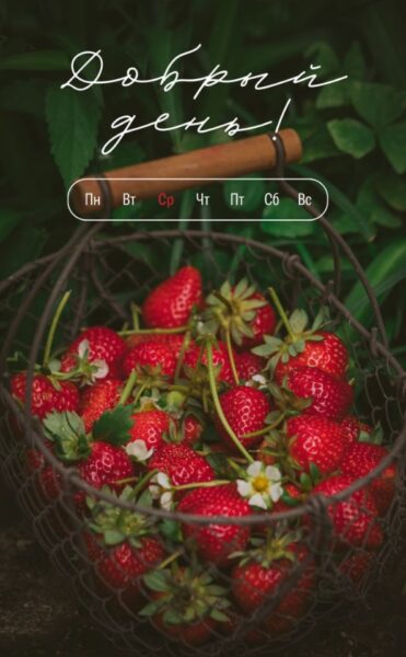 добрый день - среда