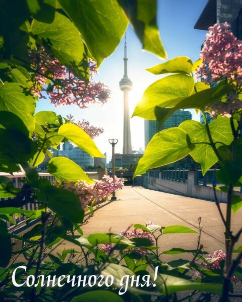 славного дня