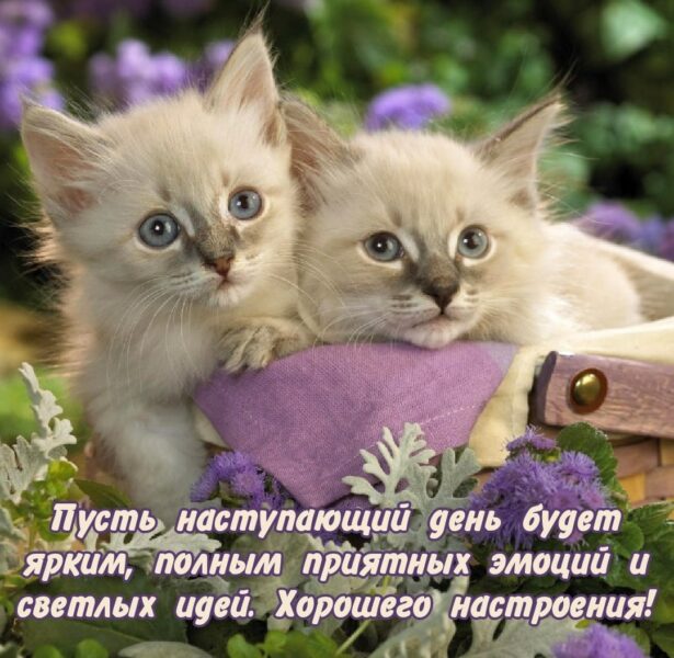 пусть наступить день хороший