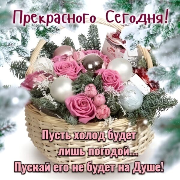 прекрасного дня