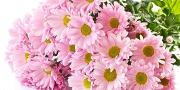 Почему цветы – лучший подарок для любого события в Харькове