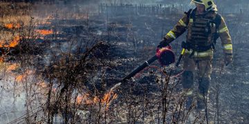 На Сумщині за тиждень зареєстровано 112 небезпечних подій |  Новини