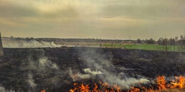 За добу рятувальники Сумщини гасили шість пожеж в екосистемах |  Новини