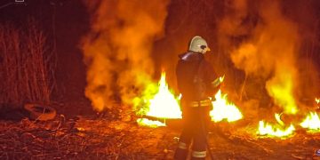 На Сумщині вогнеборці чотири рази ліквідовували загоряння в природних екосистемах |  Новини