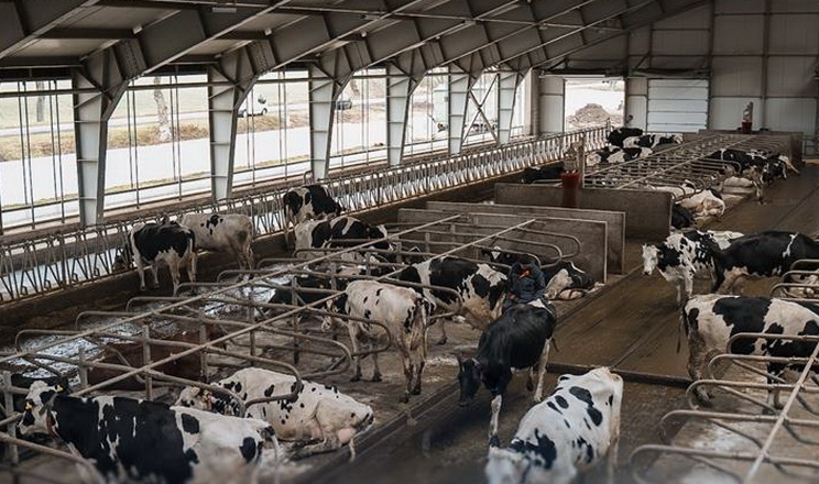 4 підприємства отримали 116 млн грн часткової компенсації за будівництво ферм