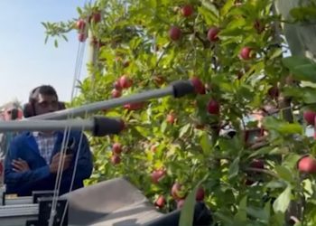 Американські вчені розробили робота з двома «руками» для збору яблук — Техніка