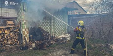 У Тростянці вогнеборці ліквідували загоряння дровника |  Новини