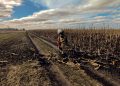 Вогнеборці Сумщини 14 разів ліквідовували загоряння сухої рослинності |  Новини