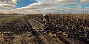 Вогнеборці Сумщини 14 разів ліквідовували загоряння сухої рослинності |  Новини
