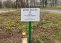 Біля Рівненського ліцею №11 висадили дерева у пам’ять про загиблих випускників