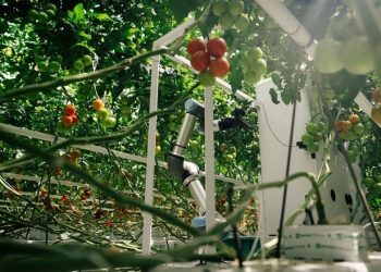 Німецький стартап Eternal AG представив автономного робота для збору врожаю — Техніка