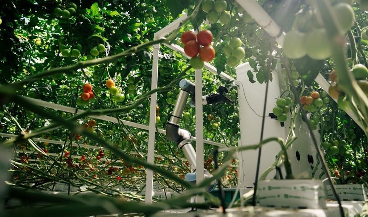 Німецький стартап Eternal AG представив автономного робота для збору врожаю