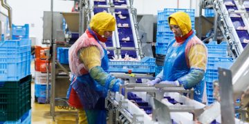 Експертка окреслила майбутнє птахівничої галузі — Економіка