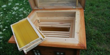 Как выбрать и купить ульи в интернет-магазине — руководство для начинающих