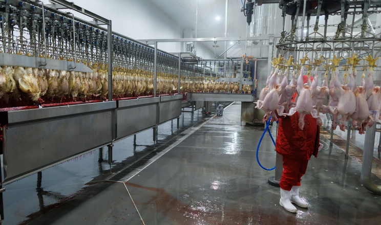 Гетманцев озвучив рейтинг кращих платників податків серед виробників м’яса