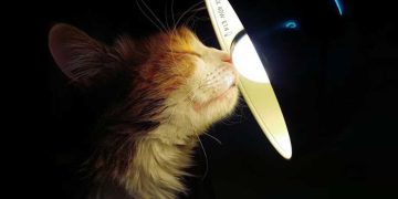 Графік планових відключень електроенергії на 16 грудня в Житомирській області | Журнал Житомира