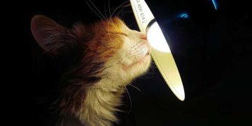 Графік планових відключень електроенергії на 25 грудня в Житомирській області | Журнал Житомира