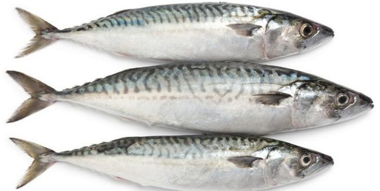 Імпорт мороженої риби в І кварталі зріс на 4,7% — Економіка