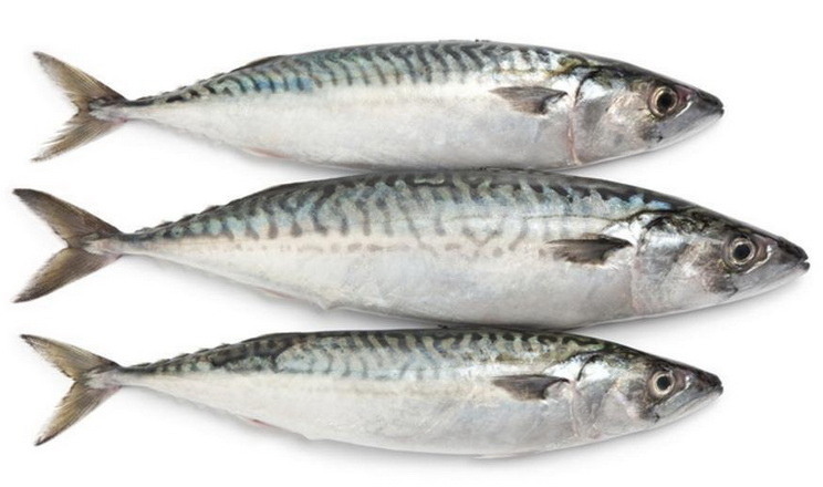 Імпорт мороженої риби в І кварталі зріс на 4,7%