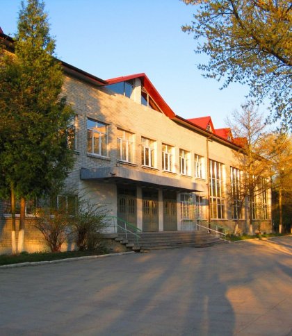 Ліцей №46 у Львові: петиція батьків проти зміни статусу на академічний