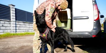 На Рівненщині раніше засуджений чоловік підпалив військове авто: його розшукала службова собака