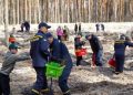 Після розмінування — новий ліс: у Бородянській громаді висадили дерева на очищених територіях | Київ та Київщіна за сьогодні