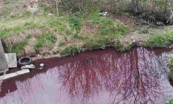У районі Вишневого зафіксували різку зміну кольору води в річці Сіверка — вона стала яскраво-бурою.