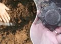 Скарб під ногами: українець випадково викопав на городі артефакт часів Київської Русі | Київ та Київщіна за сьогодні