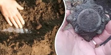 Скарб під ногами: українець випадково викопав на городі артефакт часів Київської Русі | Київ та Київщіна за сьогодні