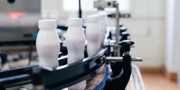 Сонячна електростанція забезпечує понад третину потреб «Радивилівмолока» — Економіка