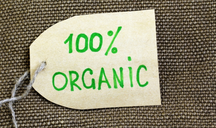 Українським птаховиробникам варто зайняти місце в органічному сегменті Європи