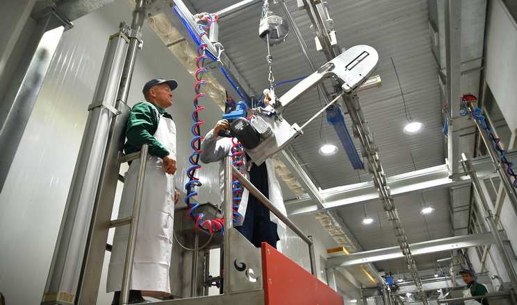 Виробники м'яса ВРХ у жовтні підвищили ціни на 3%