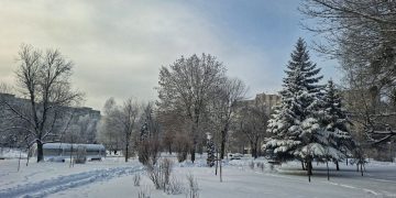 Зима продовжує домінувати: якою буде погода в Житомирській області 19-25 січня | Журнал Житомира